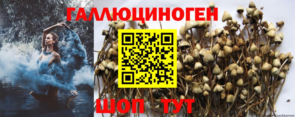 Галлюциногенные грибы GOLDEN TEACHER  Галлюциногенные грибы GOLDEN TEACHER  Вход с VPN  Подольск 