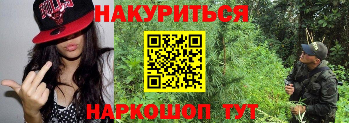 Шишки марихуана планчик  Шишки марихуана индика  Вход с VPN  Конопля ГИДРОПОН  Подольск 